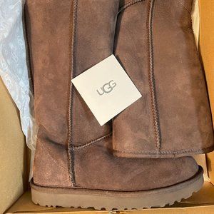 nordstrom brand new in box tall uggs brown